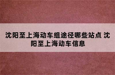 沈阳至上海动车组途径哪些站点 沈阳至上海动车信息